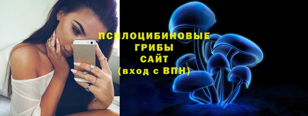 стаф Кинешма