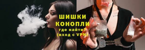 стаф Кинешма