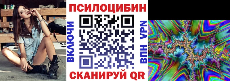 Купить  Адыгейск  Галлюциногенные грибы Psilocybine cubensis 